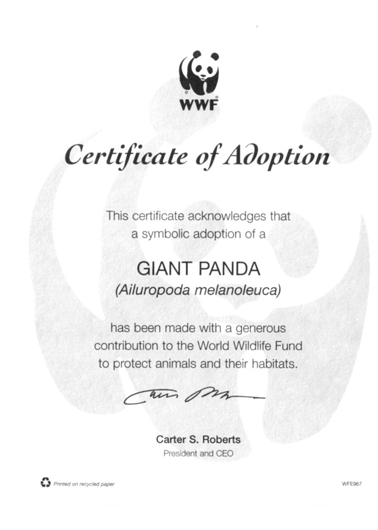 SEO Panda and ACS Group adopts giant panda certificate